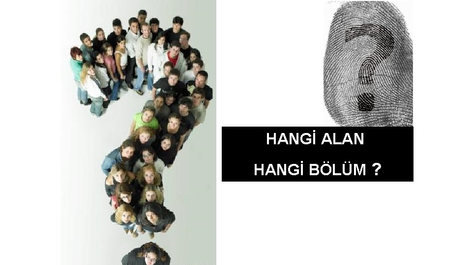 HANGİ ALAN HANGİ BÖLÜM ? 
