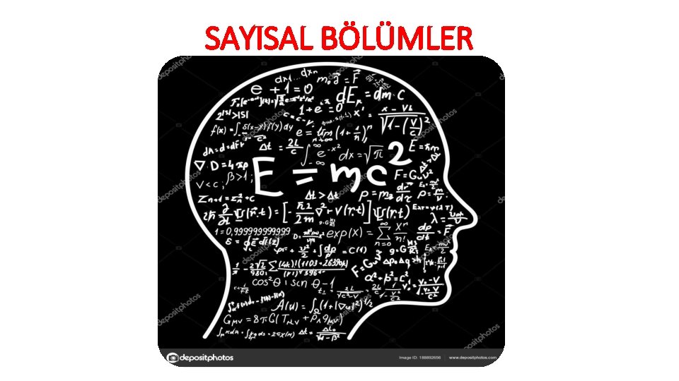 SAYISAL BÖLÜMLER 