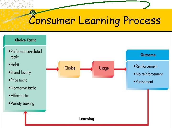 Consumer Learning Process 