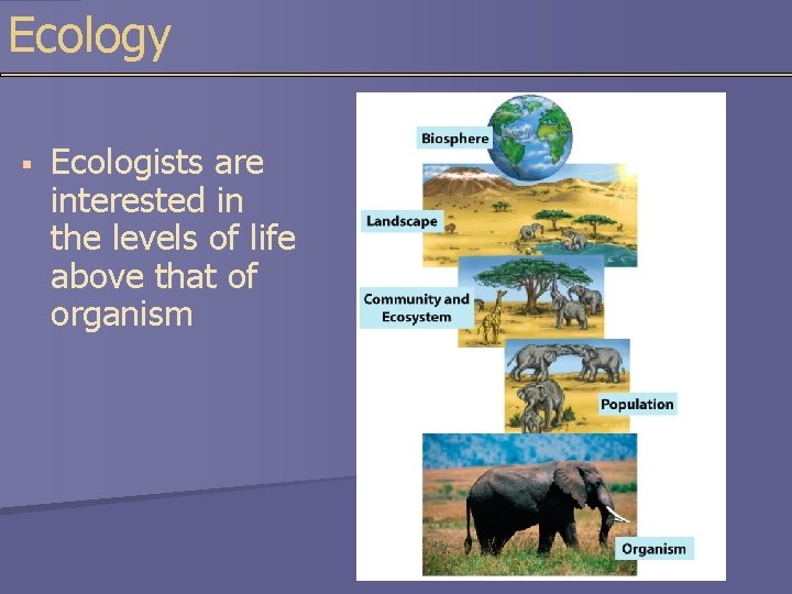 Ecology § Ecologists are interested in the levels of life above that of organism