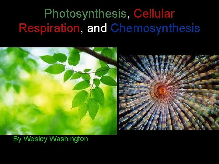 Photosynthesis, Cellular Respiration, and Chemosynthesis By Wesley Washington 