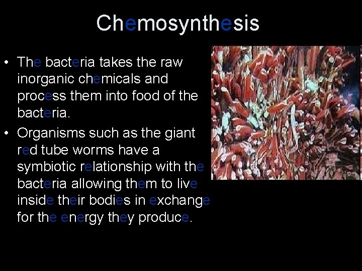 Chemosynthesis • The bacteria takes the raw inorganic chemicals and process them into food