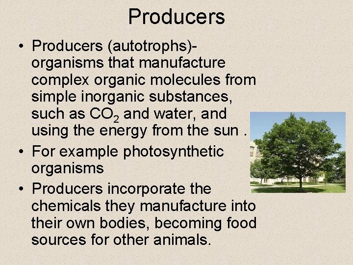 Producers • Producers (autotrophs)organisms that manufacture complex organic molecules from simple inorganic substances, such