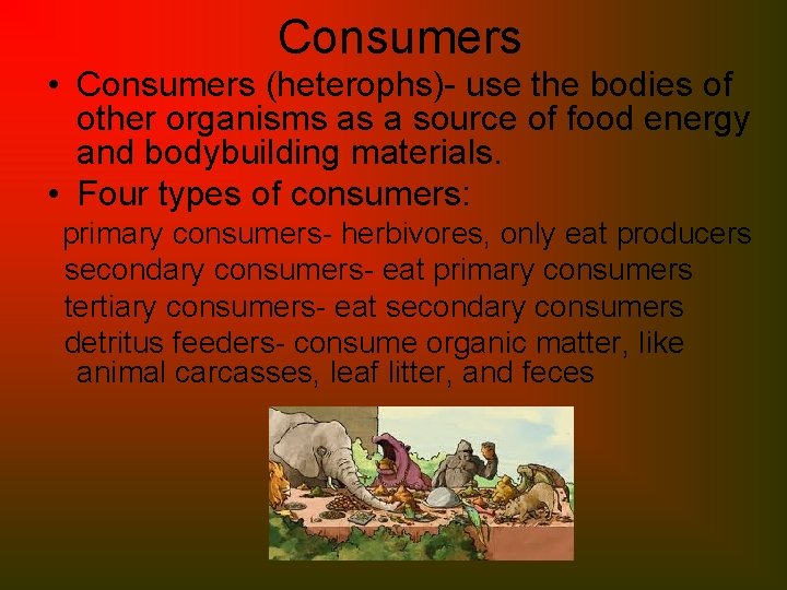 Consumers • Consumers (heterophs)- use the bodies of other organisms as a source of
