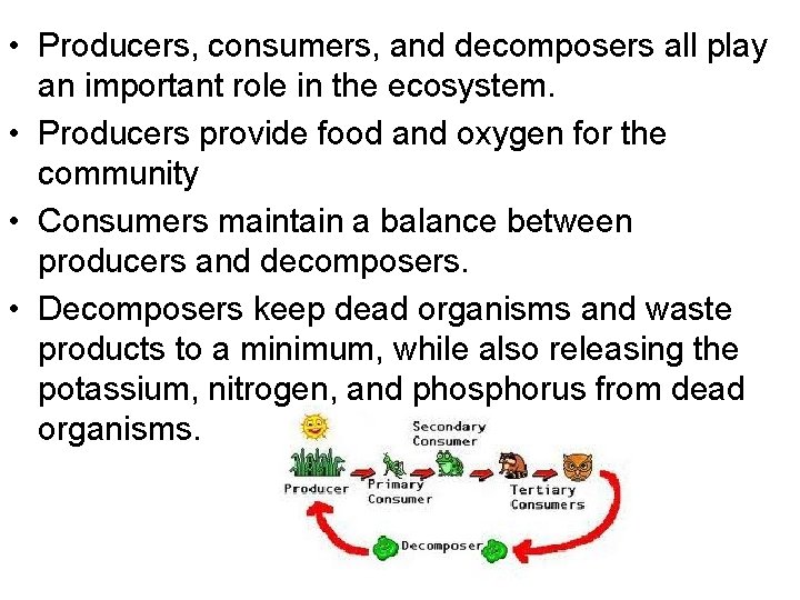  • Producers, consumers, and decomposers all play an important role in the ecosystem.