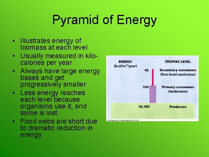 Pyramid of Energy • Illustrates energy of biomass at each level • Usually measured