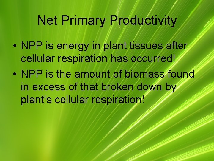 Net Primary Productivity • NPP is energy in plant tissues after cellular respiration has