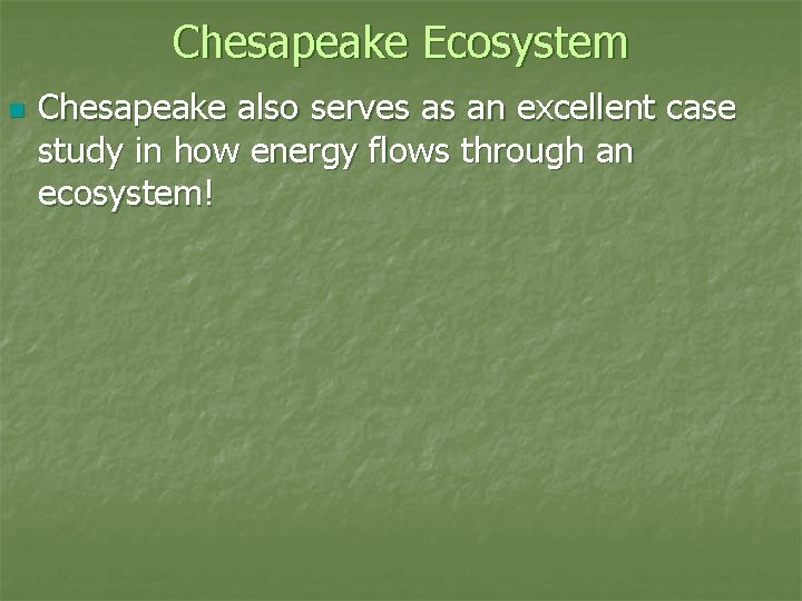 Chesapeake Ecosystem n Chesapeake also serves as an excellent case study in how energy