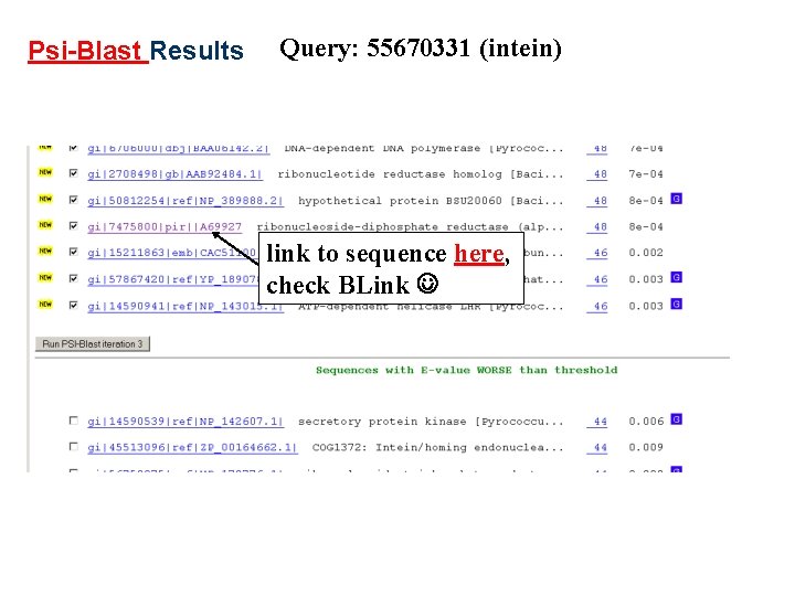 Psi-Blast Results Query: 55670331 (intein) link to sequence here, check BLink 