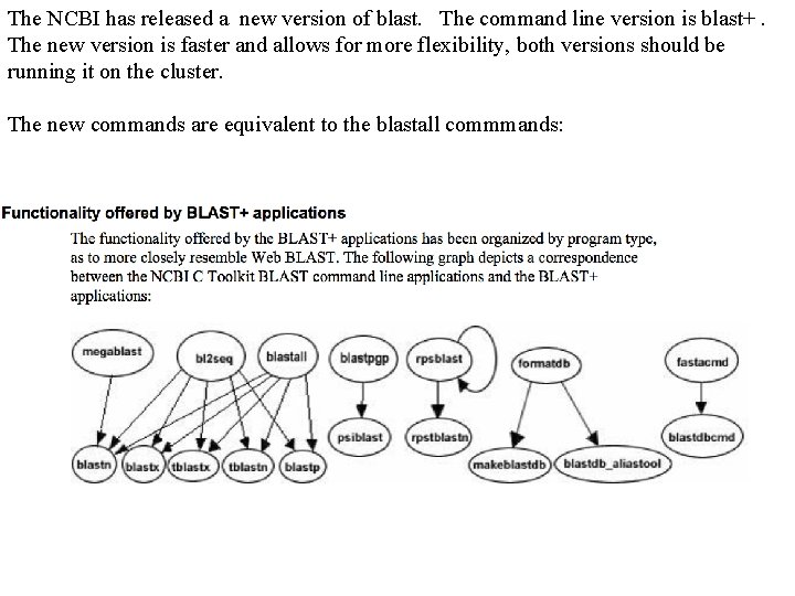 The NCBI has released a new version of blast. The command line version is