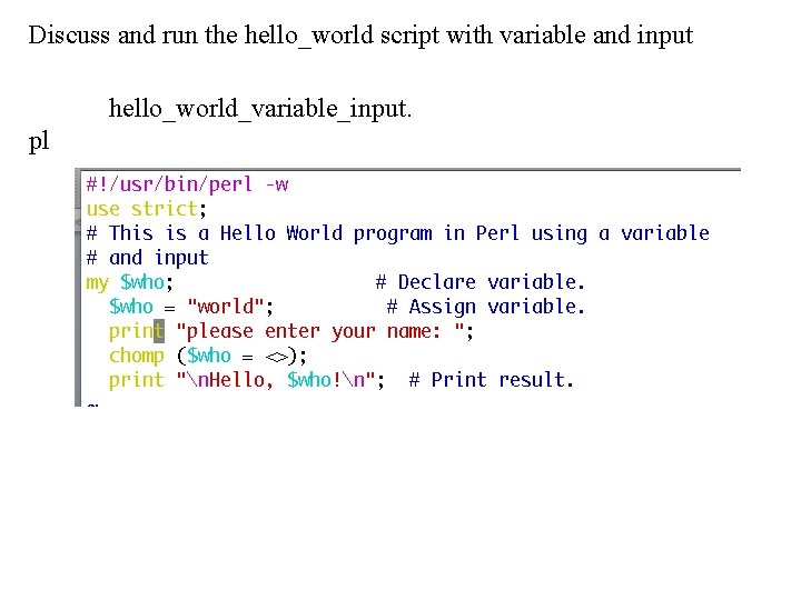 Discuss and run the hello_world script with variable and input hello_world_variable_input. pl 