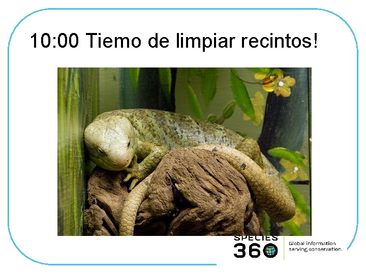 10: 00 Tiemo de limpiar recintos! 