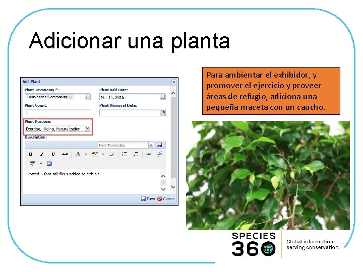 Adicionar una planta Para ambientar el exhibidor, y promover el ejercicio y proveer áreas