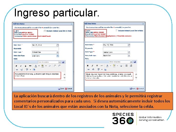 Ingreso particular. La aplicación buscará dentro de los registros de los animales y le