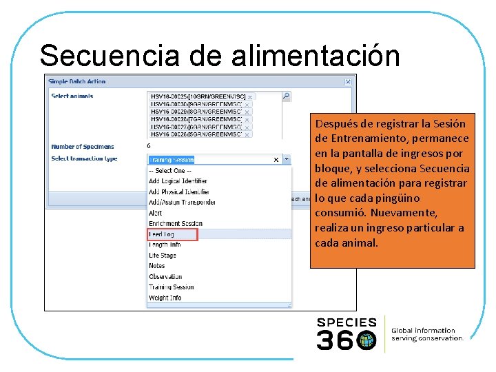 Secuencia de alimentación Después de registrar la Sesión de Entrenamiento, permanece en la pantalla