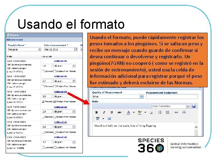 Usando el formato, puede rápidamente registrar los pesos tomados a los pingüinos. Si se