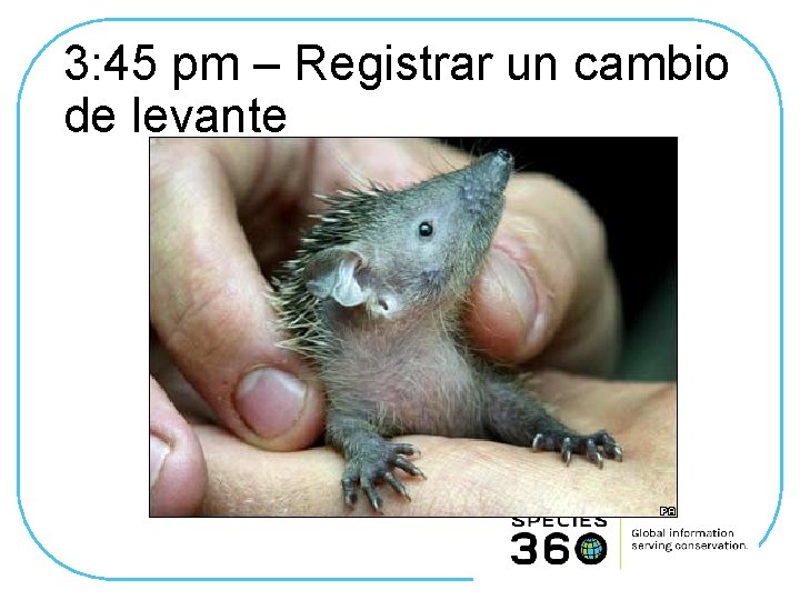 3: 45 pm – Registrar un cambio de levante 