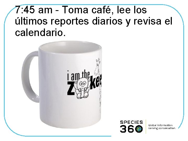 7: 45 am - Toma café, lee los últimos reportes diarios y revisa el