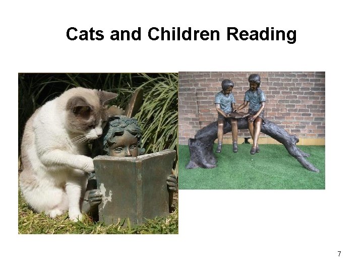 Cats and Children Reading 7 