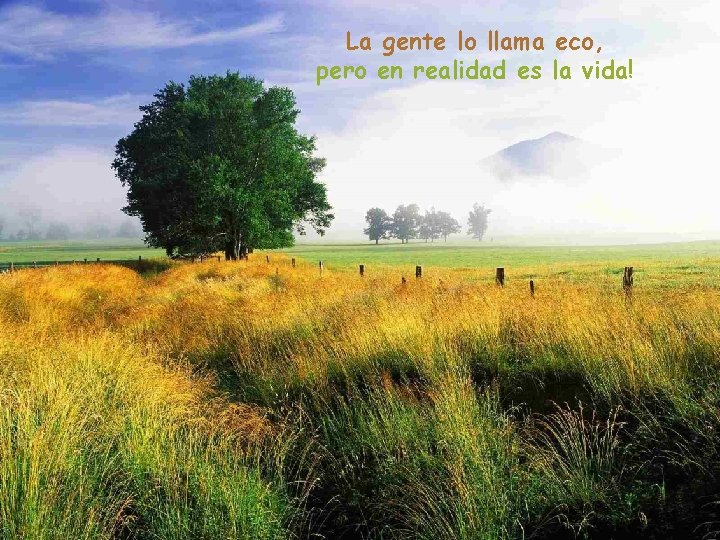 La gente lo llama eco, pero en realidad es la vida! 