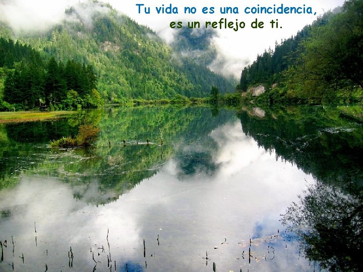 Tu vida no es una coincidencia, es un reflejo de ti. 