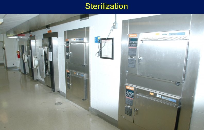 Sterilization 