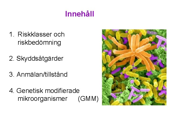 Innehåll 1. Riskklasser och riskbedömning 2. Skyddsåtgärder 3. Anmälan/tillstånd 4. Genetisk modifierade mikroorganismer (GMM)