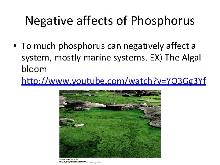 Negative affects of Phosphorus • To much phosphorus can negatively affect a system, mostly