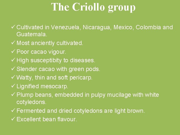 The Criollo group ü Cultivated in Venezuela, Nicaragua, Mexico, Colombia and Guatemala. ü Most