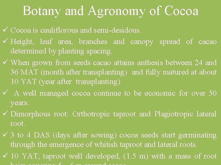 Botany and Agronomy of Cocoa ü Cocoa is cauliflorous and semi desidous. ü Height,