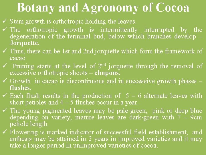 Botany and Agronomy of Cocoa ü Stem growth is orthotropic holding the leaves. ü