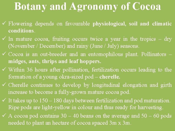 Botany and Agronomy of Cocoa ü Flowering depends on favourable physiological, soil and climatic