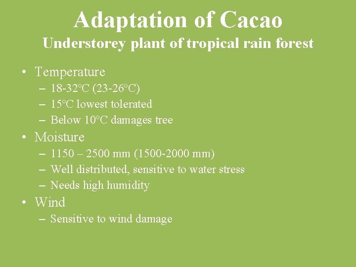 Adaptation of Cacao Understorey plant of tropical rain forest • Temperature – 18 32ºC