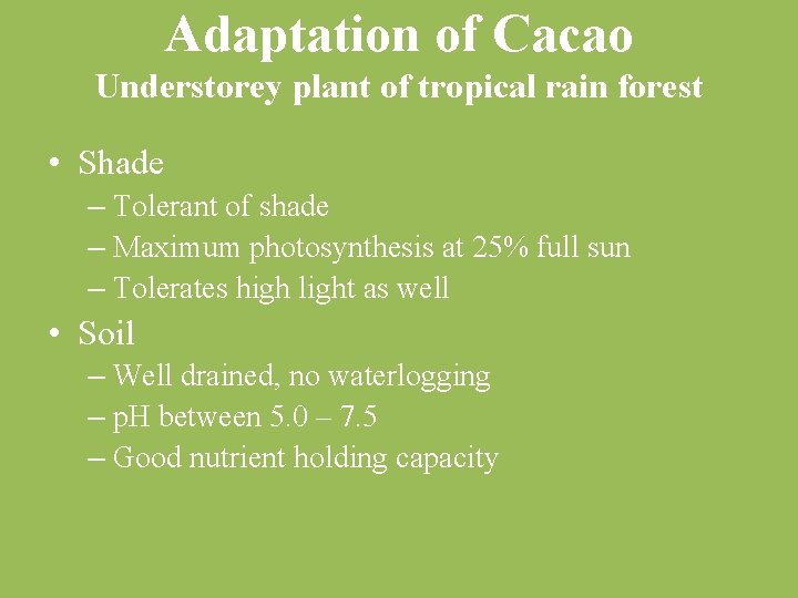Adaptation of Cacao Understorey plant of tropical rain forest • Shade – Tolerant of