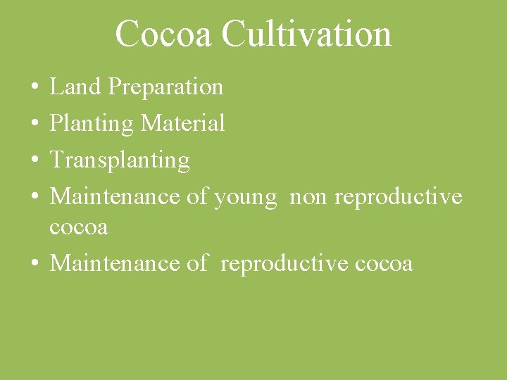 Cocoa Cultivation • • Land Preparation Planting Material Transplanting Maintenance of young non reproductive