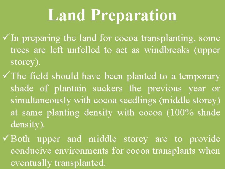 Land Preparation ü In preparing the land for cocoa transplanting, some trees are left