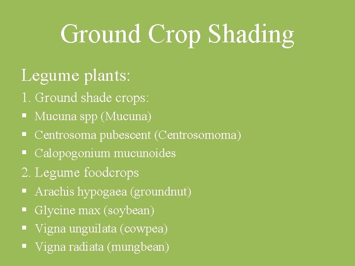 Ground Crop Shading Legume plants: 1. Ground shade crops: § Mucuna spp (Mucuna) §