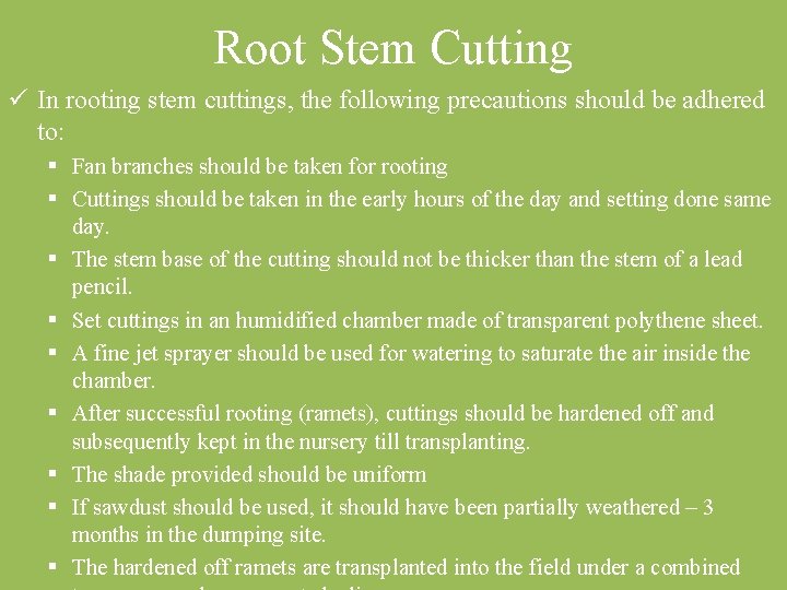 Root Stem Cutting ü In rooting stem cuttings, the following precautions should be adhered