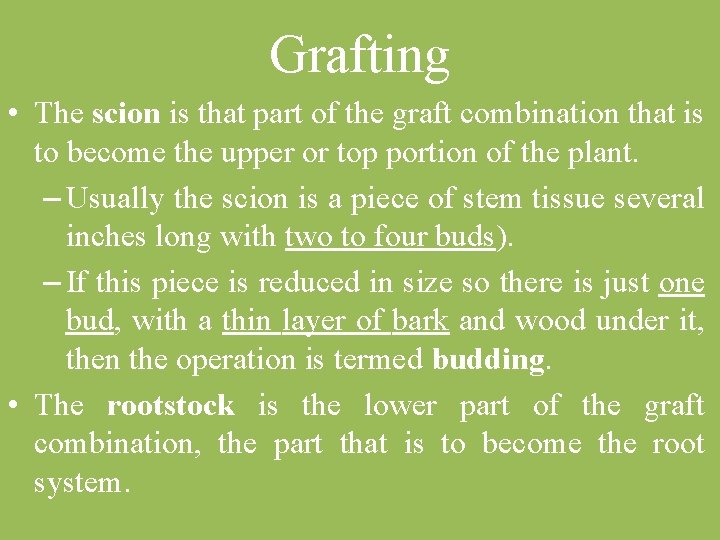 Grafting • The scion is that part of the graft combination that is to