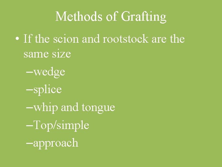 Methods of Grafting • If the scion and rootstock are the same size –wedge