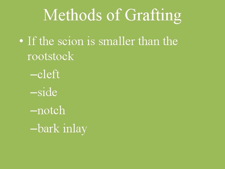 Methods of Grafting • If the scion is smaller than the rootstock –cleft –side