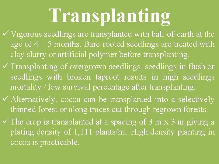 Transplanting ü Vigorous seedlings are transplanted with ball of earth at the age of