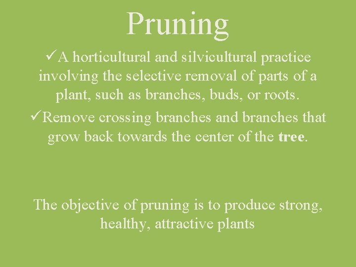 Pruning üA horticultural and silvicultural practice involving the selective removal of parts of a