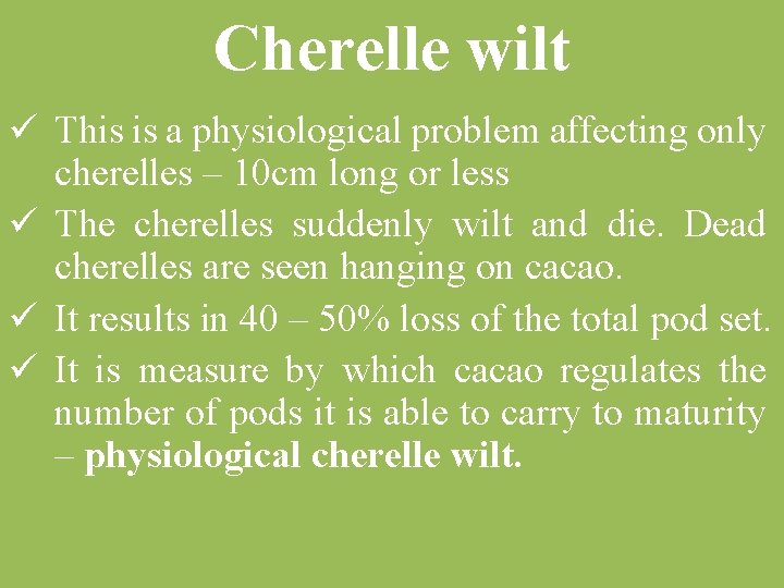 Cherelle wilt ü This is a physiological problem affecting only cherelles – 10 cm