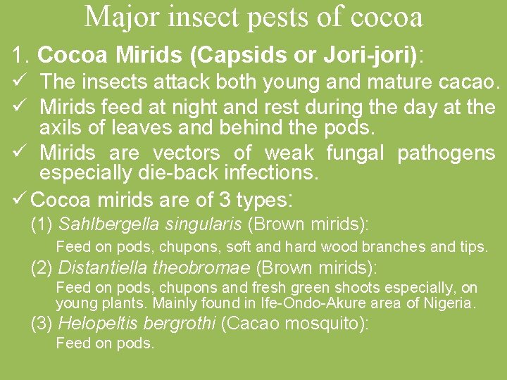 Major insect pests of cocoa 1. Cocoa Mirids (Capsids or Jori-jori): ü The insects