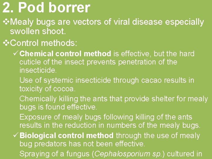 2. Pod borrer v. Mealy bugs are vectors of viral disease especially swollen shoot.