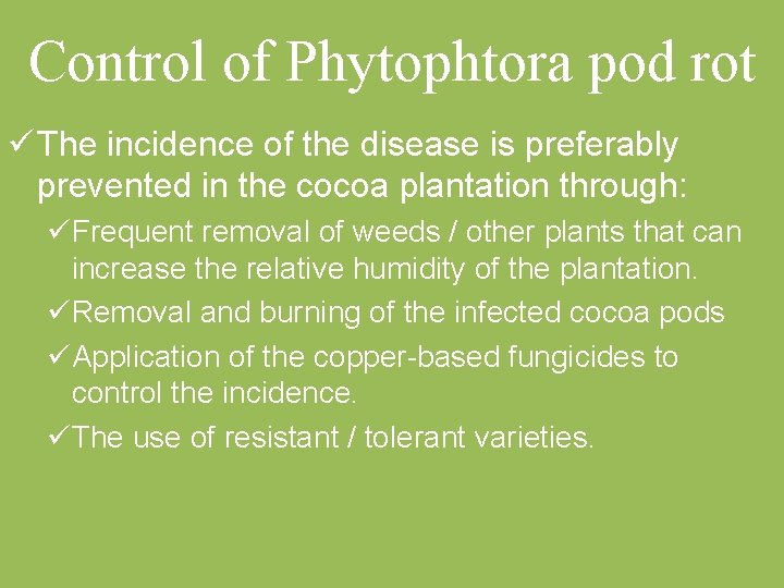 Control of Phytophtora pod rot ü The incidence of the disease is preferably prevented