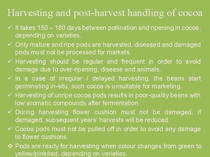 Harvesting and post harvest handling of cocoa ü It takes 150 – 180 days