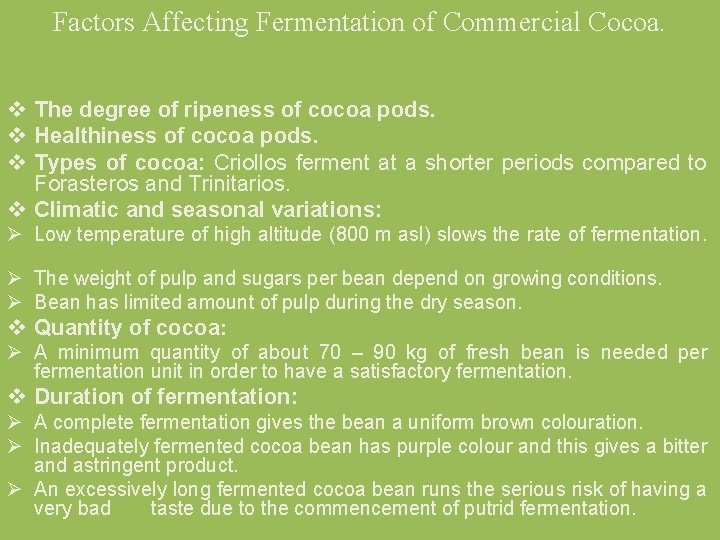 Factors Affecting Fermentation of Commercial Cocoa. v The degree of ripeness of cocoa pods.