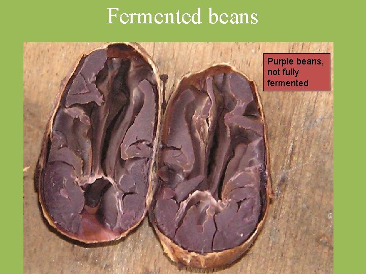 Fermented beans Purple beans, not fully fermented 
